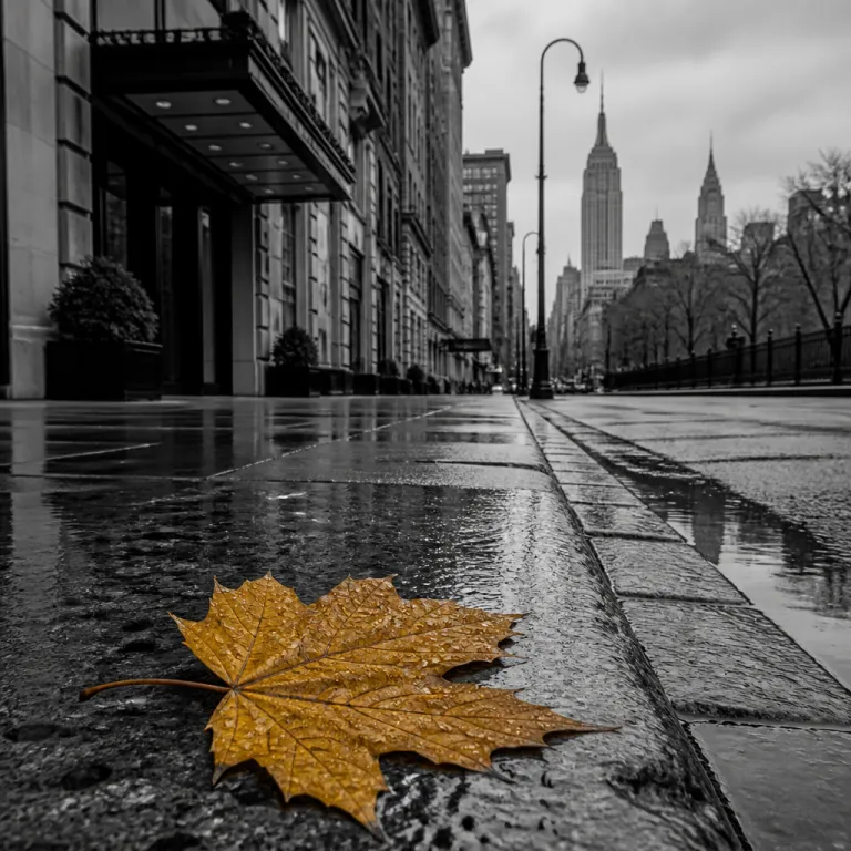 Best Time to Visit New York City by Season (Weather, Crowds, and Hotels)